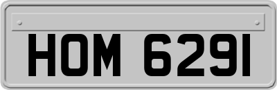 HOM6291