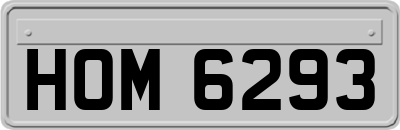 HOM6293