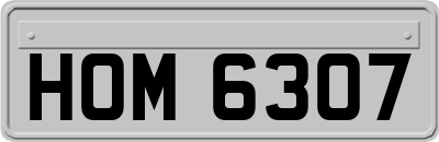 HOM6307