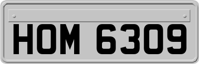 HOM6309