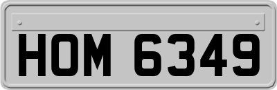 HOM6349