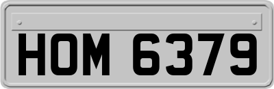 HOM6379