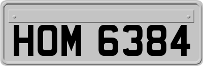 HOM6384