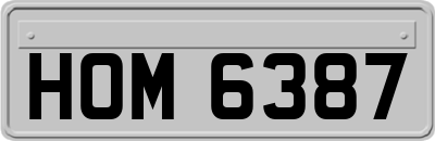 HOM6387