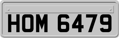 HOM6479