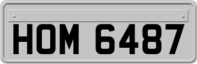 HOM6487