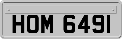 HOM6491