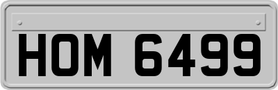 HOM6499