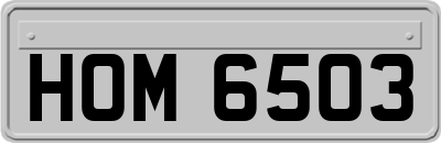 HOM6503