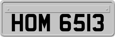 HOM6513