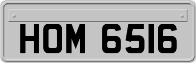 HOM6516