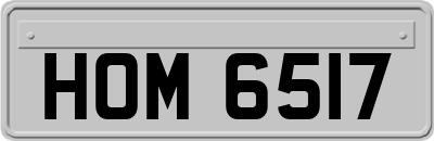 HOM6517