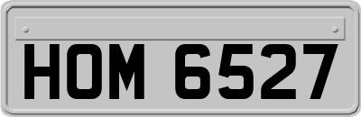 HOM6527