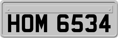 HOM6534