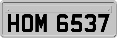 HOM6537