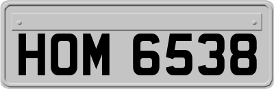 HOM6538