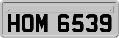 HOM6539