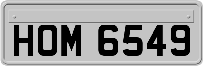 HOM6549