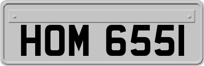 HOM6551