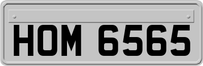 HOM6565