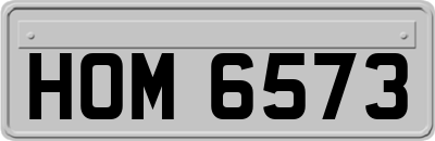 HOM6573