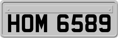 HOM6589