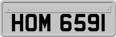 HOM6591