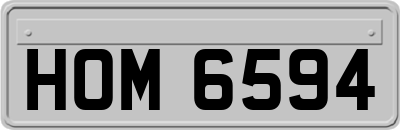 HOM6594