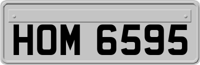 HOM6595