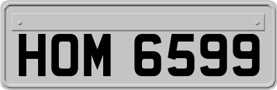 HOM6599