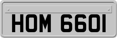 HOM6601