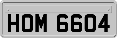 HOM6604