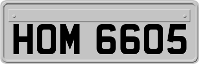 HOM6605