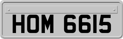 HOM6615