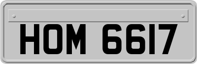 HOM6617