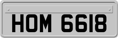 HOM6618