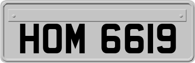 HOM6619