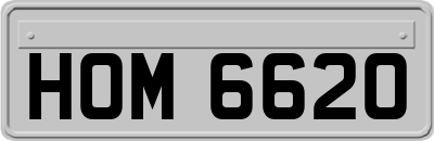 HOM6620