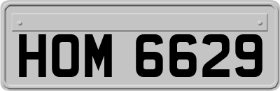 HOM6629