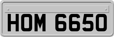 HOM6650