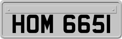 HOM6651