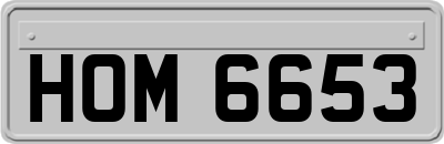 HOM6653