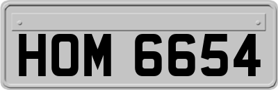 HOM6654