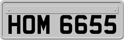 HOM6655