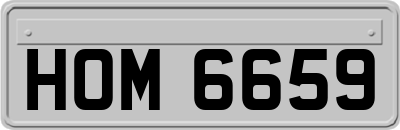 HOM6659