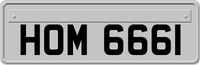 HOM6661