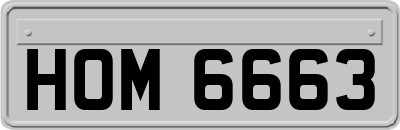 HOM6663