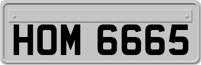 HOM6665