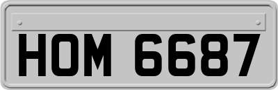 HOM6687