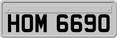 HOM6690